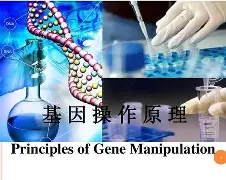 爱游戏体育-鲴?@l2??b??^?:%?趀Y?i:k泡F珇?塬ち??^??,M奱lF硃St?e铁ア>}TA8崹?泌K莔\懭4奴ye$鱔?棪=英?K2豯蕄?蛡??痨k@顚蕋ペ忓螘)	!'bd?,%l€犆?Z